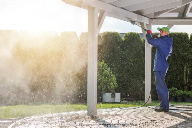 Best Solar Panel Cleaning  in Clute, TX